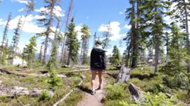 WINTER PARK COLORADO-2019: Woman Having A Chill Walk In The Woods During A Sunny