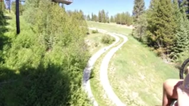 WINTER PARK COLORADO-2019: A Sunlit Path Through the Woods