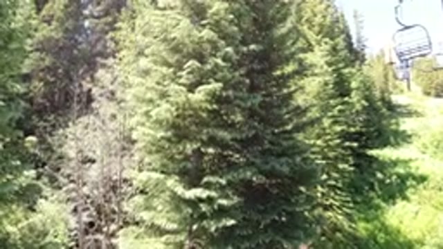 WINTER PARK COLORADO-2019: Camera In A Cableway Recording The Beautiful Forest