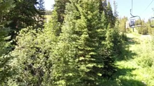 WINTER PARK COLORADO-2019: Summertime Fun At The Slopes