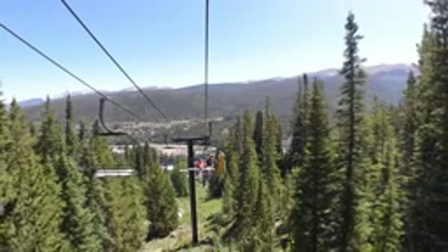 WINTER PARK COLORADO-2019: The Forest And Its Beauties