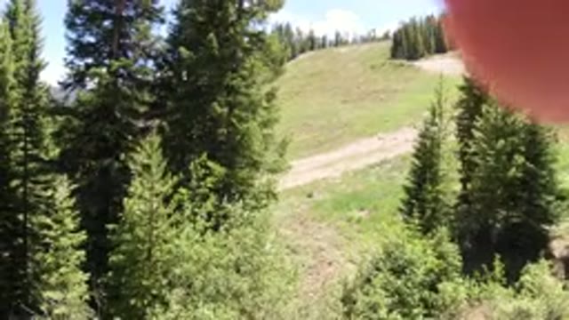 WINTER PARK COLORADO-2019: A Hilltop Pine View From A Rope Way