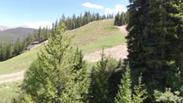 WINTER PARK COLORADO-2019: Trees And Hillside From Moving Ski Lift
