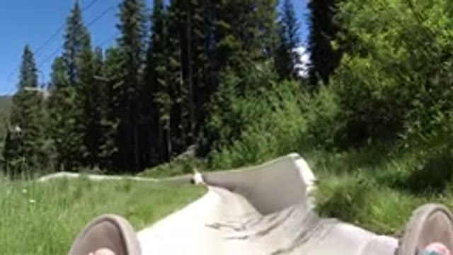 WINTER PARK COLORADO-2019: Bobsleigh Ride Through Sunny Forest