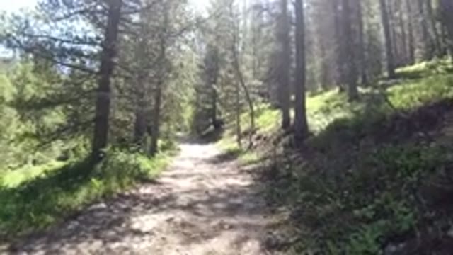 WINTER PARK COLORADO-2019: Horse Riding Through Forest Trail