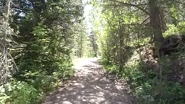 WINTER PARK COLORADO-2019: Walk In The Middle Of Nature Illuminated By This