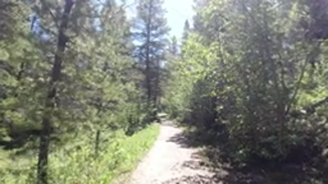 WINTER PARK COLORADO-2019: A Narrow Path Walking Through A Beautiful Forest