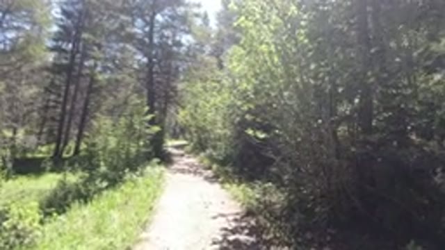 WINTER PARK COLORADO-2019: Someone Is Walking On A Long Woodsy Trail With