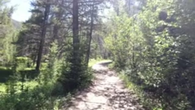 WINTER PARK COLORADO-2019: Walk in the Day to Enjoy Nature in the Woods