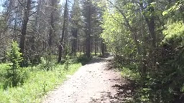 WINTER PARK COLORADO-2019: Beautiful Video Of A Nature Walk With A Stone Pathway