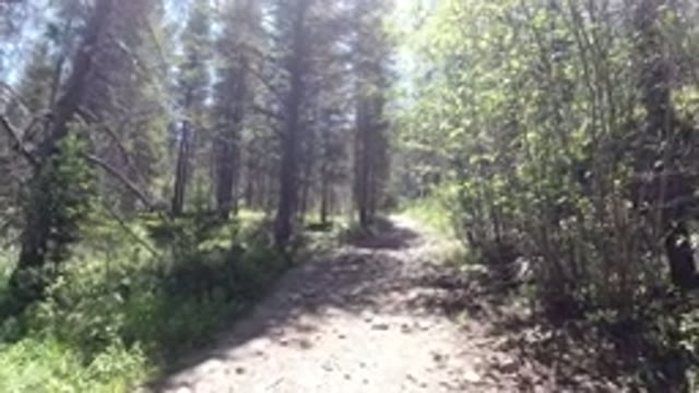 WINTER PARK COLORADO-2019: Walking Along A Nature Trail On A Sunny Day In