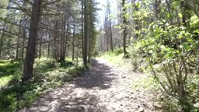 WINTER PARK COLORADO-2019: Walking The Rocky Trail Through The Vast And Open
