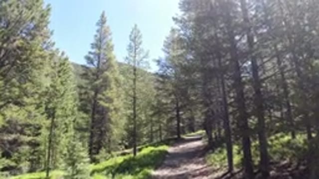 WINTER PARK COLORADO-2019: A Wide Walking Trail On The Side Of A Forested Slope