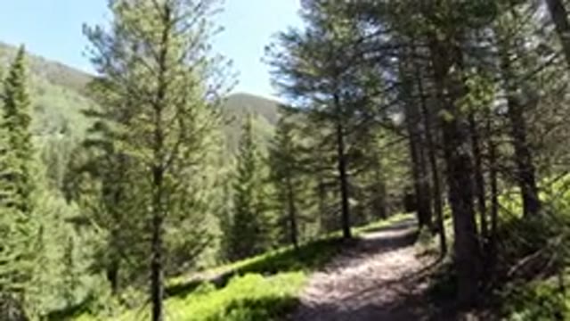 WINTER PARK COLORADO-2019: Person Recording A Slow Chill Walk Through A