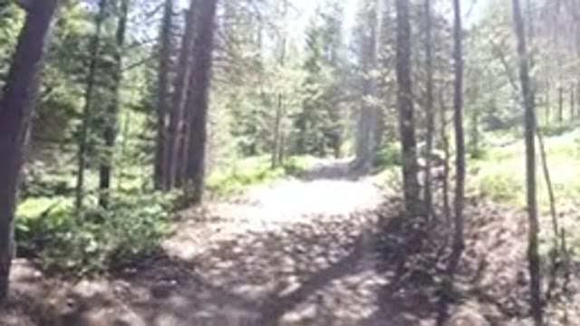 WINTER PARK COLORADO-2019: A View Of A Long Trail In The Nature With Tall Trees
