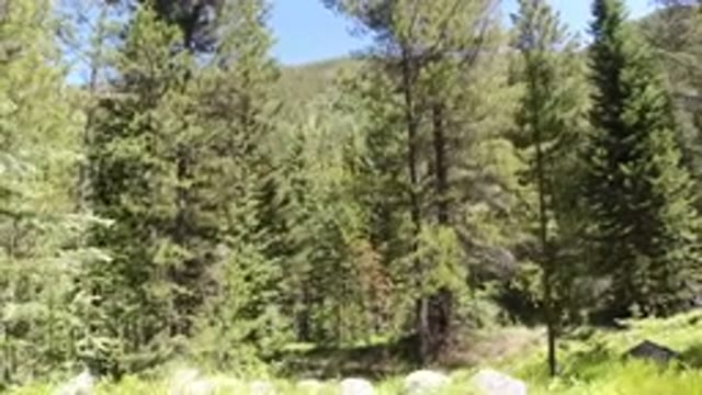 WINTER PARK COLORADO-2019: The Small Video Clip Is Showing Open Land With Many