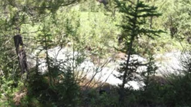 WINTER PARK COLORADO-2019: Nature Daytime Waterfall Trees Body Of Water