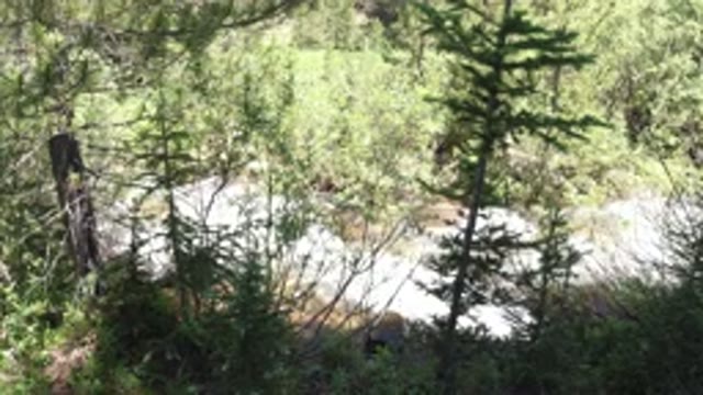 WINTER PARK COLORADO-2019: Water Flowing By The River In The Forest On A Summer