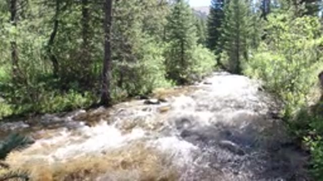 WINTER PARK COLORADO-2019: A River Flowing Quickly In The Woods