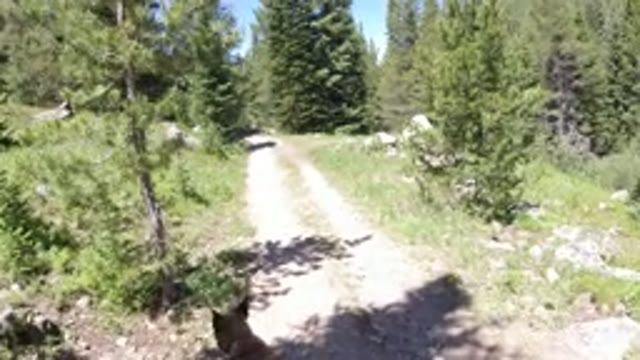 WINTER PARK COLORADO-2019: Lounging In The Woods And Beautiful Scenery With My