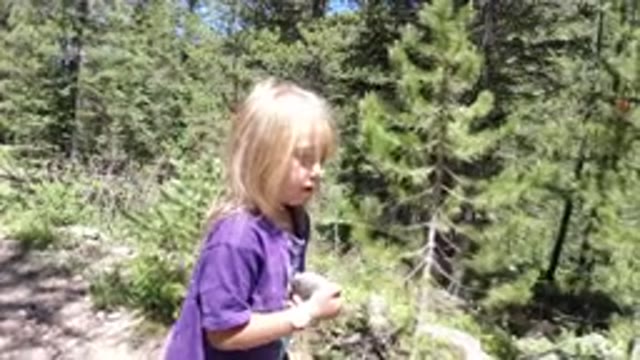 WINTER PARK COLORADO-2019: Little Blond Girl Walking In The Forest