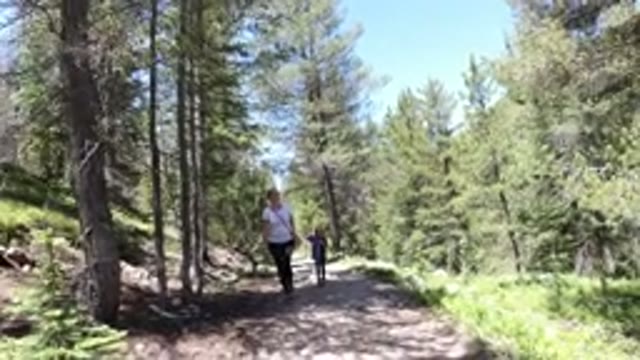 WINTER PARK COLORADO-2019: Tourist Walking Trail In Nature Surrounded By Trees