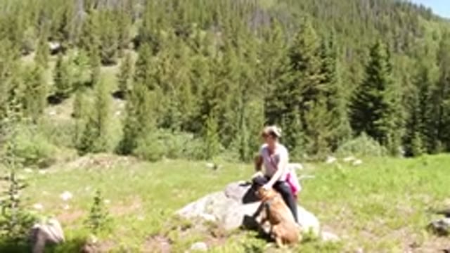 WINTER PARK COLORADO-2019: A View Of The Nature With A Dog A Person And A Lot Of