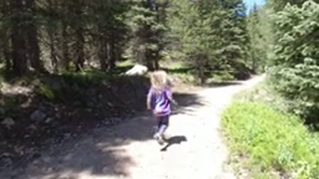 WINTER PARK COLORADO-2019: Outdoor Activity In A Forest Area With Kids Pets And Family