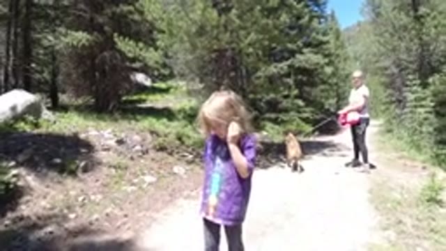WINTER PARK COLORADO-2019: A Woman A Child And A Dog Are On A Nature Trail In A