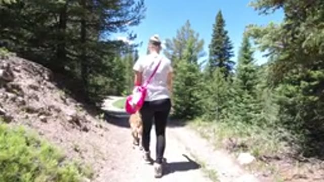 WINTER PARK COLORADO-2019: The Best Of Mother Nature While Walking Mans Best