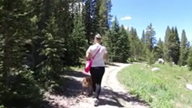 WINTER PARK COLORADO-2019: Women And Dog Walking Through Straight Path With Many Trees