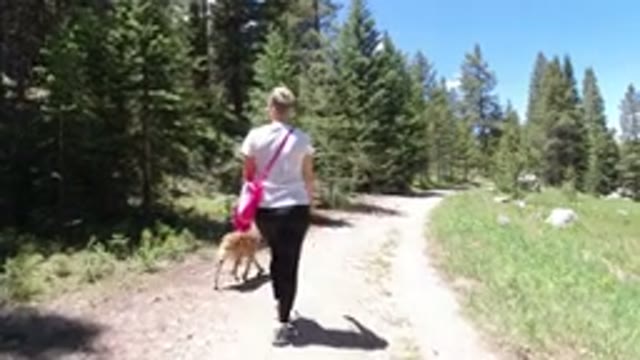 WINTER PARK COLORADO-2019: Woman Walking With Her Dog On Lush Forest Mountain