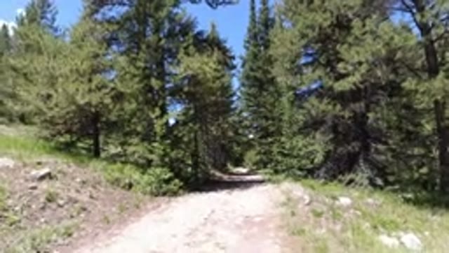 WINTER PARK COLORADO-2019: Walking Through The Woods Admiring The Beautifully