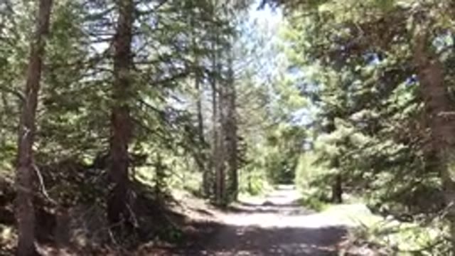 WINTER PARK COLORADO-2019: Hiking Through The Beautiful Wilderness