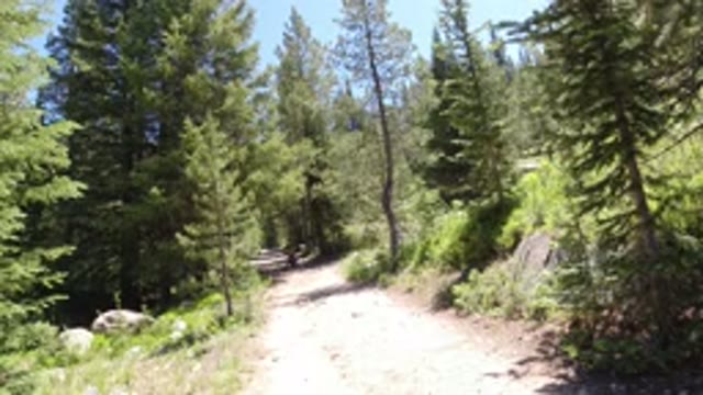 WINTER PARK COLORADO-2019: Bright And Clear Sunny Day Hiking In A Clear Forest