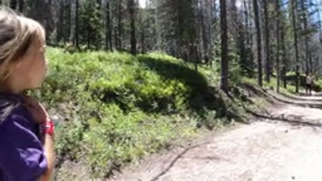 WINTER PARK COLORADO-2019: Little Blonde Child Walking Through The Woods Having