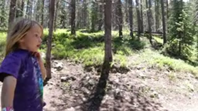 WINTER PARK COLORADO-2019: A Child Walking Through Snowy Nature Scenery