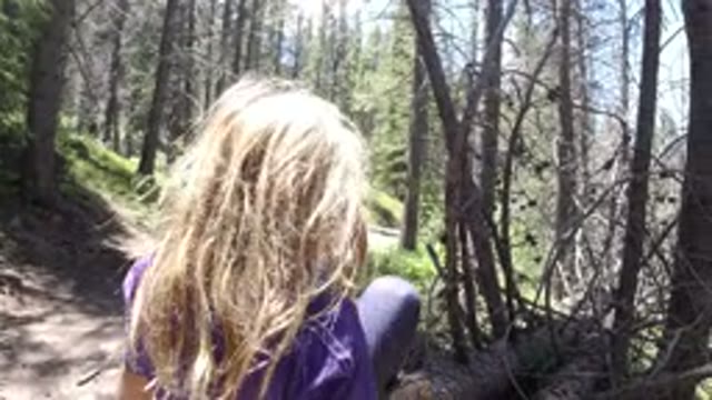 WINTER PARK COLORADO-2019: Girl Playing Stick Trees Trekking Forest Air Fesh Sun