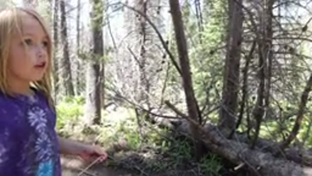WINTER PARK COLORADO-2019: Mother Take Toddler Deep Into The Forest Alongside