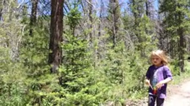WINTER PARK COLORADO-2019: A Little Girl Walking Around The Forest