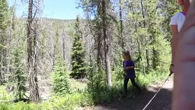WINTER PARK COLORADO-2019: Child Mother Hiking Dead Forest Dog Dirt Trail Dad