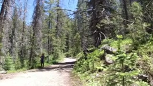 WINTER PARK COLORADO-2019: Strange Shadowy Figure Stands To The Left Of A Gravel Path