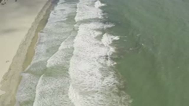 LOS CABOS MEXICO-2019: The Ocean Bank of the Beautiful with the Wind