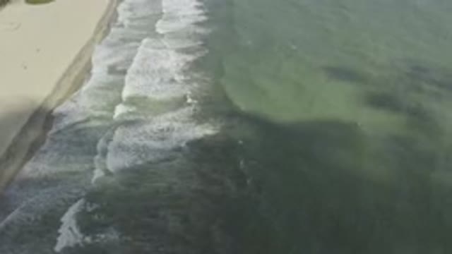 LOS CABOS MEXICO-2019: Sky View Of A Clean Beach With Gentle White Bubble Waves
