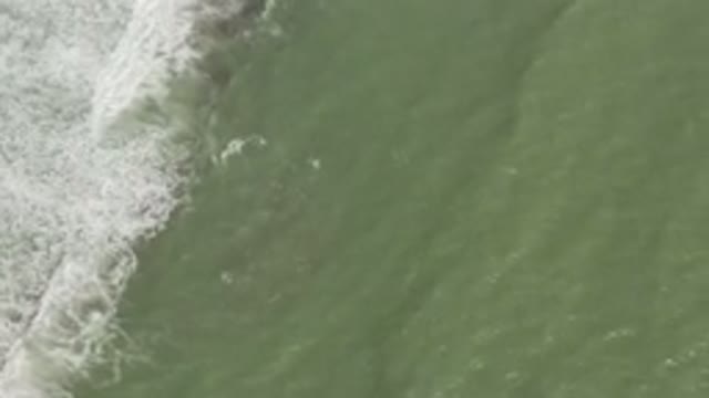LOS CABOS MEXICO-2019: Green Water Recorded From The Sky In The Beach With A