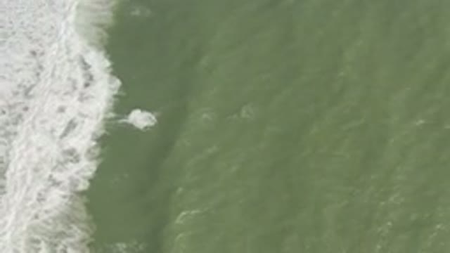 LOS CABOS MEXICO-2019: Dirty Ocean Water Brushed Against The White Waves As It