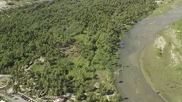 LOS CABOS MEXICO-2019: Top View Drone Footage of Lush Greenery and Tall Trees