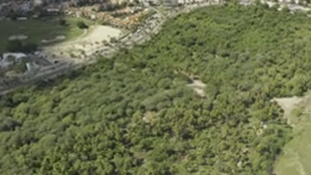 LOS CABOS MEXICO-2019: View Of A Green Forest On A Sunny Day From A Plane