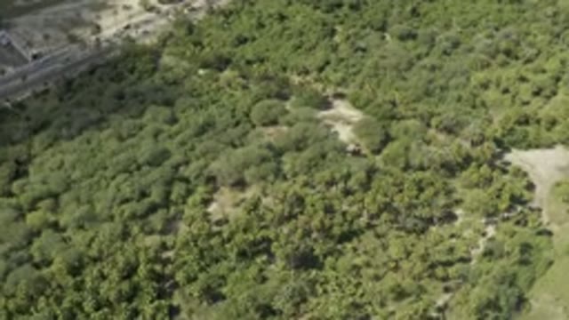 LOS CABOS MEXICO-2019: Aerial Spanned View Of A Forest Area Under Clear Sky