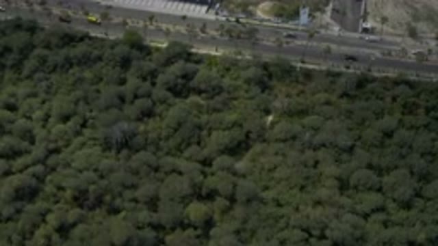 LOS CABOS MEXICO-2019: Aerial View Of A Band Of Forest Close To The Road And The